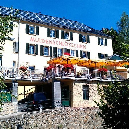 Отель Muldenschlosschen Lunzenau Экстерьер фото